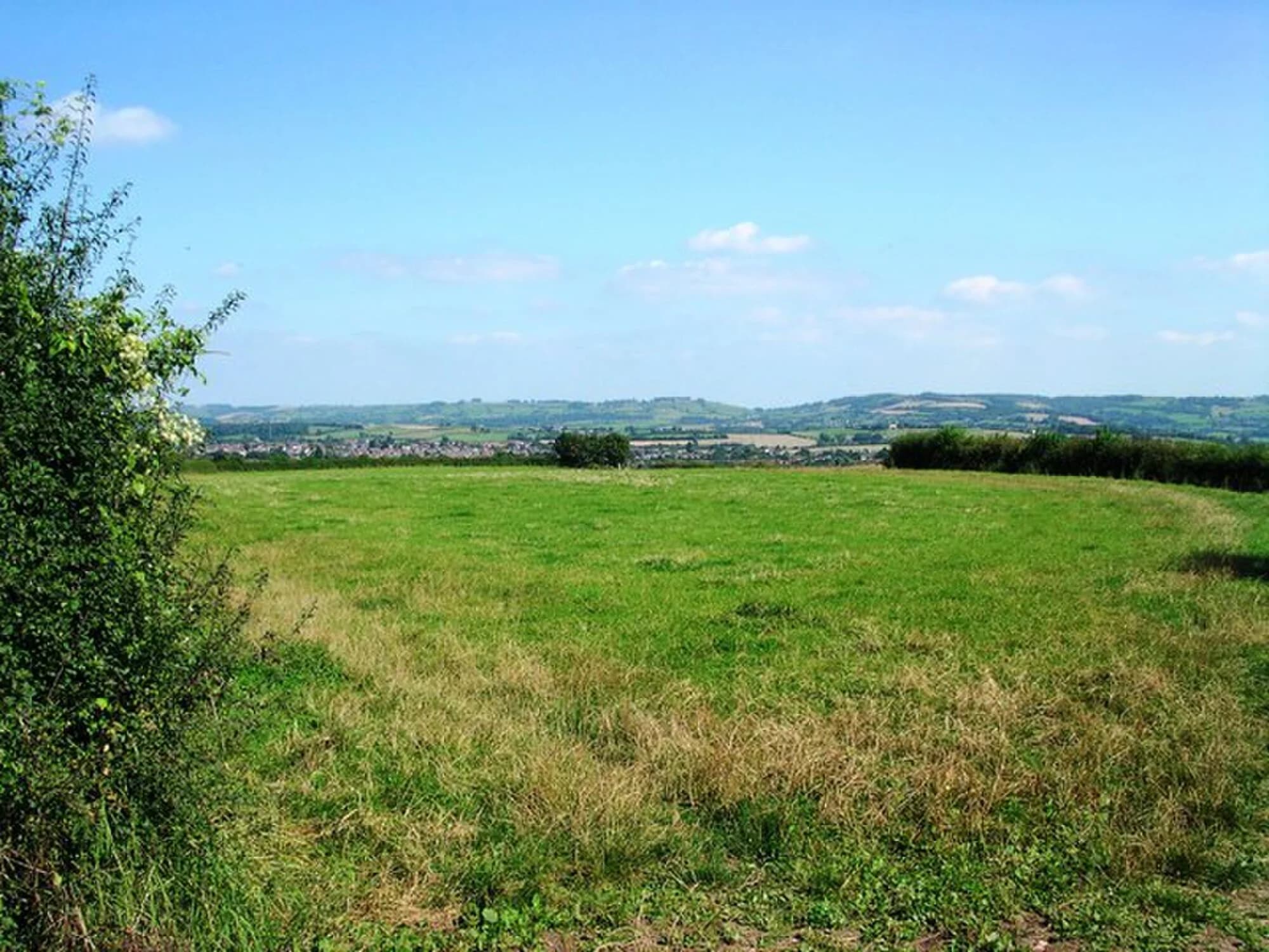 Vets in Longwell Green